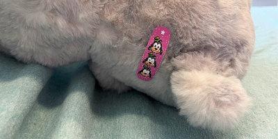 Lumbar Puncture with Beary