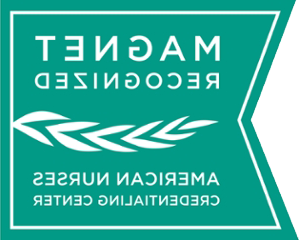 磁铁 Recognized logo